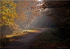 form caption odnoklassniki ok